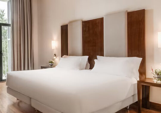 Hotel NH Collection Palacio de Aranjuez Image 7