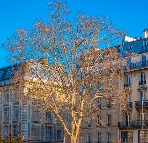 Gourmet Marais 02