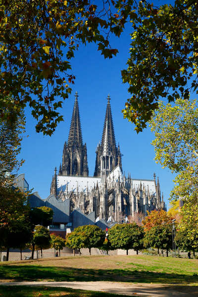 Cologne