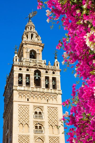 Bell tower Giralda, former minaret of Cathedral church, Seville, Spain